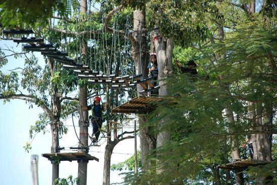 2018050848-seramapark1